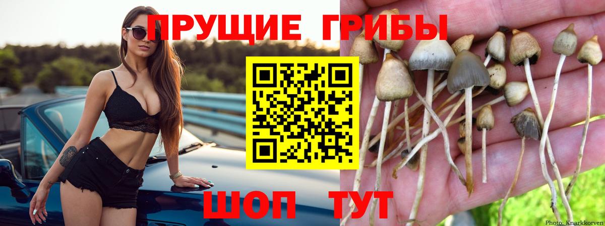 Псилоцибиновые грибы мицелий  Галлюциногенные грибы мицелий  Костомукша  Вход с VPN 